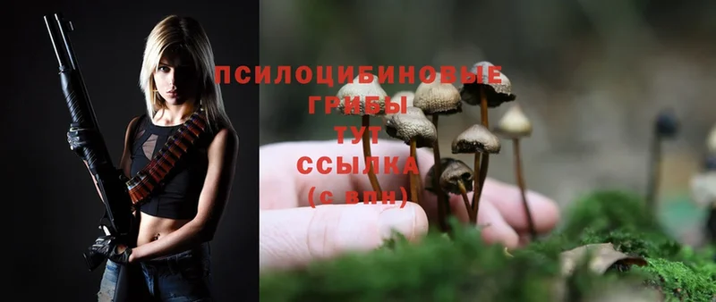 Галлюциногенные грибы Magic Shrooms  сайты даркнета состав  Боготол  закладка 